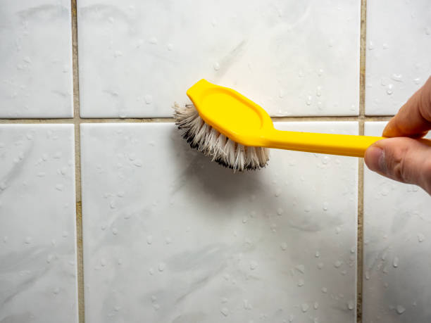 Best Mold Damage Repair  in Tres Arroyos, NM
