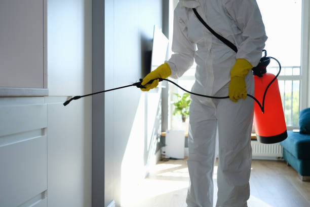Office Mold Removal Services in Tres Arroyos, NM